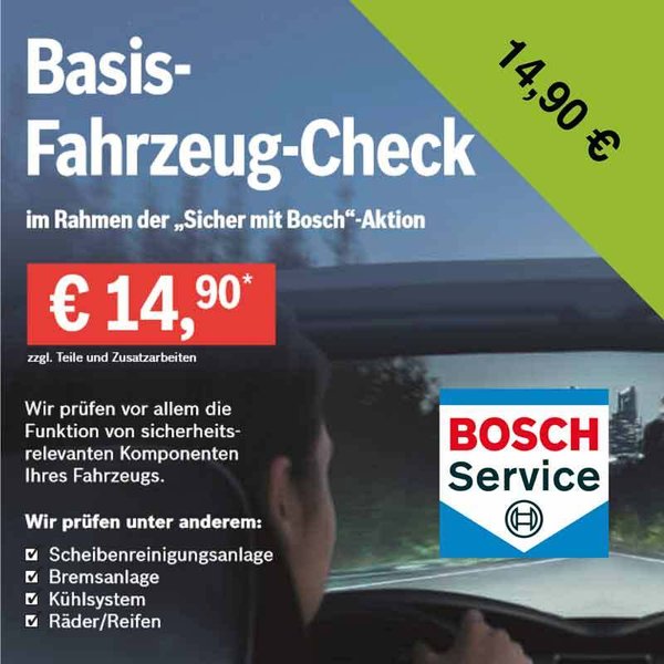 Basis-Fahrzeug-Check